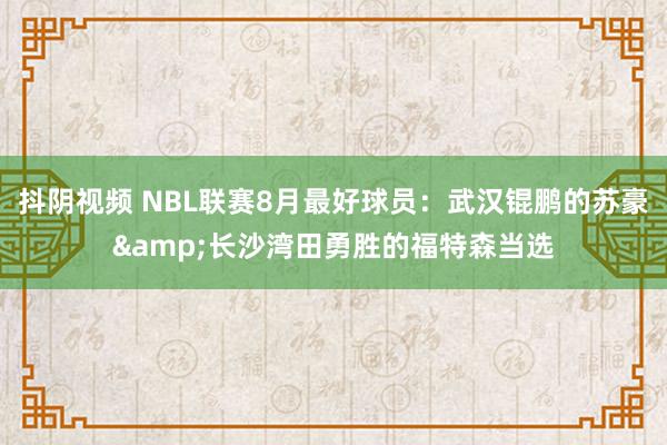 抖阴视频 NBL联赛8月最好球员：武汉锟鹏的苏豪&长沙湾田勇胜的福特森当选