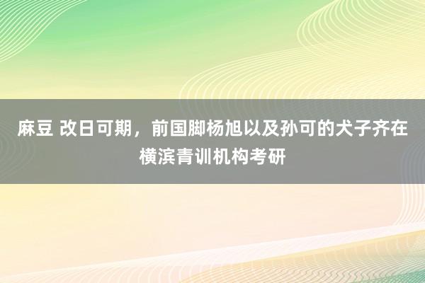 麻豆 改日可期，前国脚杨旭以及孙可的犬子齐在横滨青训机构考研