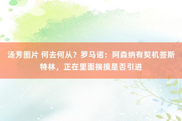 汤芳图片 何去何从？罗马诺：阿森纳有契机签斯特林，正在里面揣摸是否引进