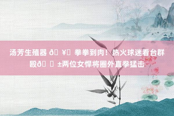 汤芳生殖器 🥊拳拳到肉！热火球迷看台群殴😱两位女悍将圈外直拳猛击