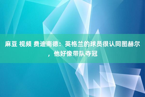 麻豆 视频 费迪南德：英格兰的球员很认同图赫尔，他好像带队夺冠
