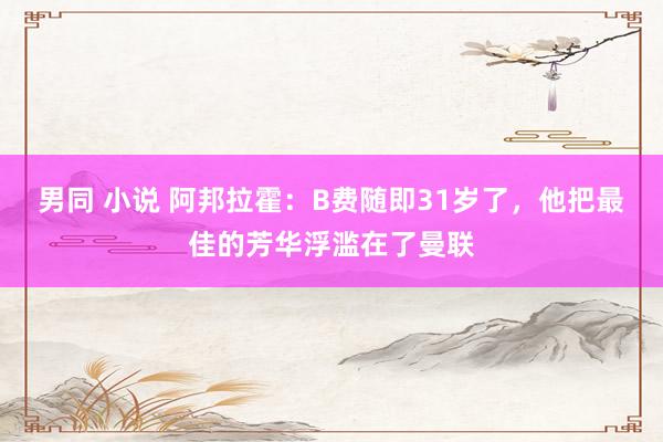 男同 小说 阿邦拉霍：B费随即31岁了，他把最佳的芳华浮滥在了曼联